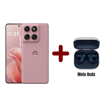 لون القرنفل