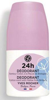 رائحة القطن مع الخبازي