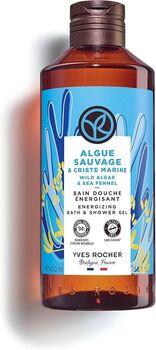 طحالب برية وشمر بحري