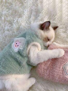 أخضر نعناعي