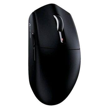 أسود