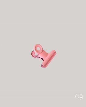 وردي